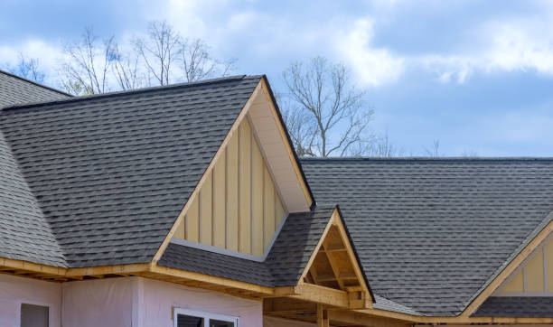 Professional Roofing Service in Gages Lake, IL